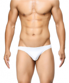 Brief