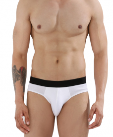 Brief