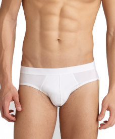 Brief
