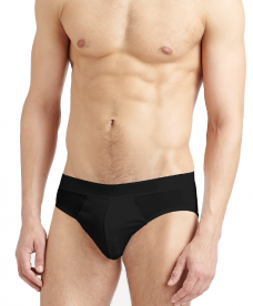 Brief